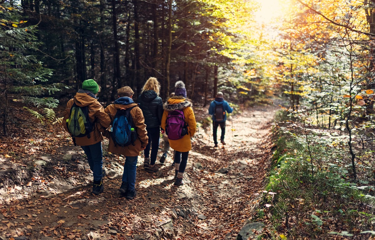 Photo of hikers walking in woods with backs to camera on sunny fall day.