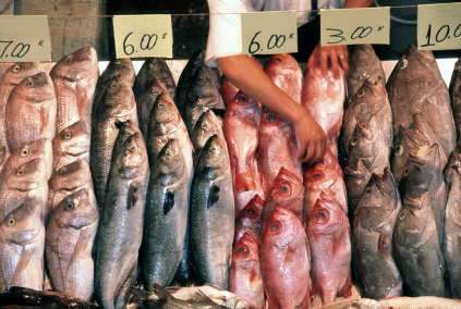 Assorted fish on display at a market with prices