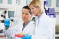 Male And Female Scientist Working In Laboratory