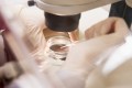 Embryologist transferring egg to a special culture media (selective focus)