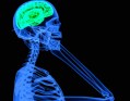 X-ray of a person holding a cellphone with brain highlighted