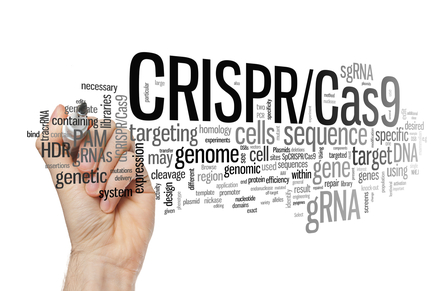 Word cloud with phrases associated with gene editing