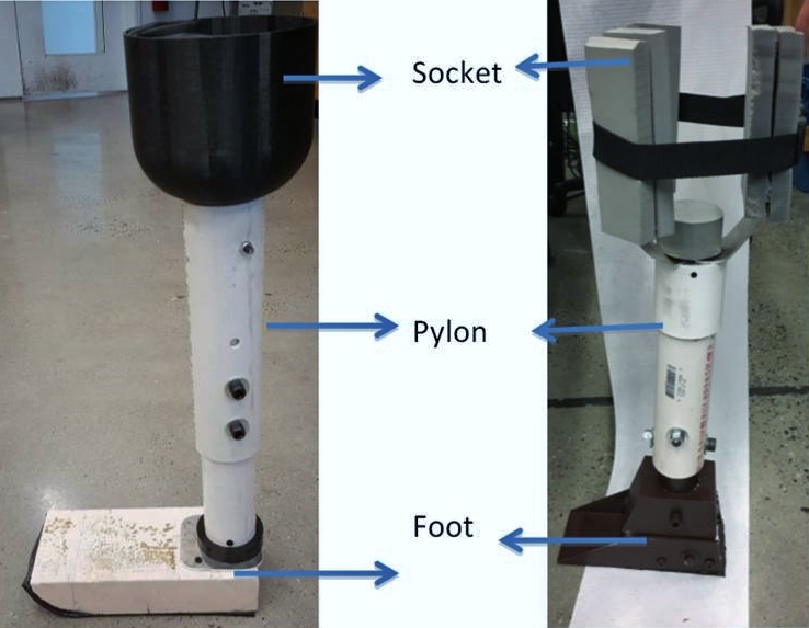 prosthetic (figure 1)